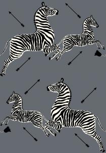 26005_zebras_70xh101_charcoal_lw