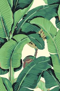 26010_hinson-palm_70x105_green_lw