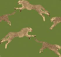 26024_leaping-cheetah_87xh81_acid-green_lw